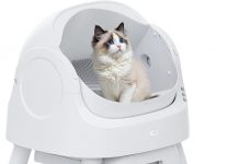 AutoScooper 11 Self-Cleaning Litter Box Review: Is It Worth the Investment for Cat Owners?