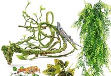 Reptile Plants Review: Are These Terrarium Hanging Vines Worth It for Your Pet’s Tank?