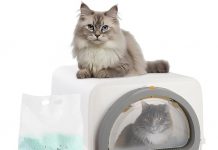 Self Cleaning Cat Litter Box Review: Is It Worth the Hype for Multi-Cat Households?