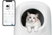 Self-Cleaning Litter Box Review: Is It Worth the Hype for Busy Cat Owners?