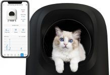 Self-Cleaning Cat Litter Box Review: Is This Automatic Litter Box Worth the Investment?