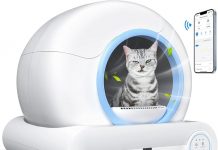 Automatic Cat Litter Box Review: Is the Smart Self-Cleaning Feature Worth It for You?