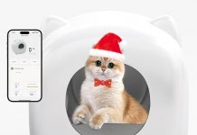 DISHUP Self-Cleaning Litter Box Review: Worth the Investment for Multi-Cat Households?