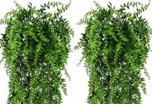 HERCOCCI 2 Pack Reptile Plants Review: Are These Terrarium Vines Worth It for Your Pets?