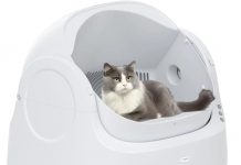 AutoScooper 11 Self-Cleaning Litter Box Review: Is It Worth the Investment for Your Cat?
