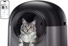 Automatic Cat Litter Box Review: Is It Worth the Hype for Multiple Cats?