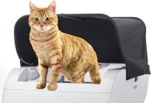 Smart Automatic Cat Litter Box Review: Does It Really Eliminate Odor & Save You Time?