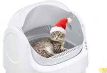 AutoScooper 11 Self-Cleaning Litter Box Review: Is It Worth the Investment for Multiple Cats?