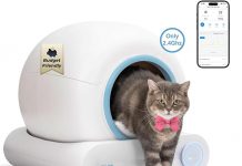 Self Cleaning Litter Box Review: Is It Worth the Investment for Multi-Cat Households?