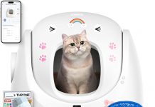 CATLINK Self-Cleaning Litter Box Review: Is It Worth the Hype for Large Cats?