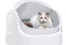AutoScooper 11 Self-Cleaning Cat Litter Box Review: Is It Worth the Investment for Pet Owners?