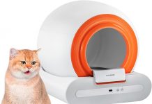 Smart Cat Litter Box Review: Is This Self-Cleaning Robot Worth the Investment?