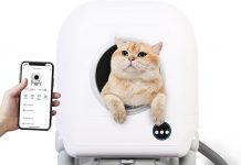 XXL Self-Cleaning Cat Litter Box Review: Is It Worth the Investment for Multi-Cat Homes?