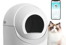 Self-Cleaning Cat Litter Box Review: Is Smart App Control & Odor Removal Worth It?
