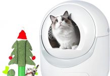 New Self-Cleaning Cat Litter Box Review: Is It Worth the Hype for Multiple Cats?