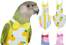 QBLEEV Bird Diaper Review: Is This Reusable Flight Suit Worth the Investment for Your Bird?