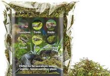 Sukh Sphagnum Moss for Reptiles Review: Is It the Right Bedding for Your Pets’ Habitat?