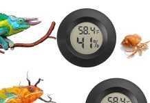 Reptile Thermometer & Humidity Gauge Review: Is It Worth the Investment for Your Pet?
