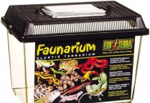 Exo Terra Faunarium Review: Is This Small Plastic Reptile Terrarium Worth the Investment?