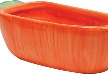 Kaytee Vege-T-Bowl Carrot Review: Is This Fun, Durable Bowl Worth the Investment?