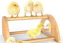 Mini Chick Perch with Mirror Review: Is It Worth the Investment for Your Baby Chicks?