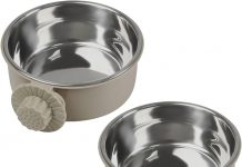 2Pcs Pets Stainless Steel Dog Bowl Review: Worth the Price for Small to Medium Pets?