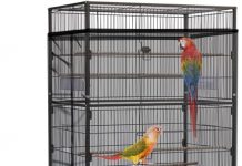 Daoeny Bird Cage Seed Catcher Review: Does It Really Keep Your Space Clean for Birds?
