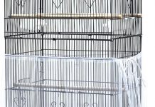 ASOCEA Bird Cage Seed Catcher Review: Is It Worth the Investment for Your Feathered Friend?