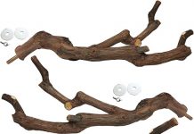 Kathson Natural Parrot Perch Review: Is It Worth the Investment for Your Small Birds?