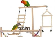 Pet Parrot Playstand Review: Is This 4-Layer Playground Worth the Investment for Your Bird?
