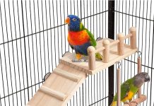 Bird Perches Platform Swing Review: Is It the Best Choice for Small Birds’ Exercise?