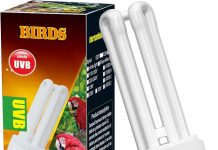 DoRight UVB 5.0 Bulb for Birds Review: Is It Worth the Investment for Your Pet’s Health?