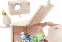 Rypet Parakeet Nesting Box Review: Is It Worth the Investment for Your Bird’s Comfort?