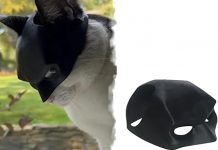 Cat Bat Mask Review: Is This Halloween Accessory Worth the Hype for Your Pet?