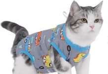 Cat Surgery Recovery Suit Review: Is This E-Collar Alternative Worth the Investment?