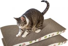 Cat Scratching Board Review: Is This Double-Sided Scratcher Worth the Investment?