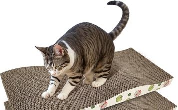 Cat Scratching Board Review: Is This Double-Sided Scratcher Worth the Investment?