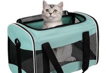 Cat Carrying Case Review: Is This Airline-Approved Pet Carrier Worth the Investment?