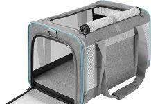 Pet Carrier for Large Cats 20 lbs+ Review: Is It Worth the Investment for Your Pet?