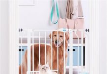 Carlson Extra Wide Walk Through Pet Gate Review: Is It Worth the Investment for Pet Safety?