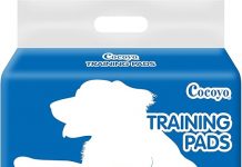 COCOYO Dog Training Pads Review: Are These Super Absorbent Pads Worth the Price?