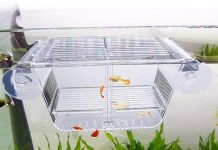 Capetsma Fish Breeding Box Review: Is It Worth the Investment for Your Aquarium?