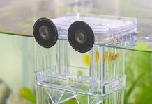Senzeal Aquarium Fish Breeder Box Review: Worth the Investment for Baby Fish & Shrimp?