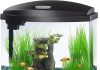 Aqueon LED MiniBow 5-Gallon Aquarium Review: Is It Worth the Investment for Fish Keepers?