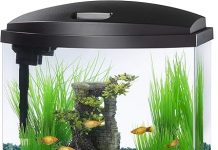 Aqueon LED MiniBow 5-Gallon Aquarium Review: Is It Worth the Investment for Fish Keepers?
