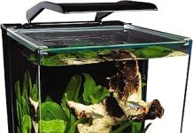 Marineland Portrait Glass LED Aquarium Kit Review: Is It Worth the Investment?