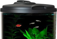 Koller Products 6-Gallon AquaView 360 Aquarium Kit Review: Is It Worth the Investment?