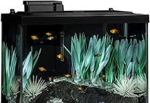 Tetra ColorFusion 20 Gallon Aquarium Kit Review: Is It Worth the Investment?