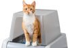 PetSafe Scoop Crystal Pro Review: Is This Self-Cleaning Litter Box Worth the Investment?
