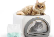 Self Cleaning Litter Box Large Jumbo Review: Is It Worth the Investment for Multi-Cat Households?